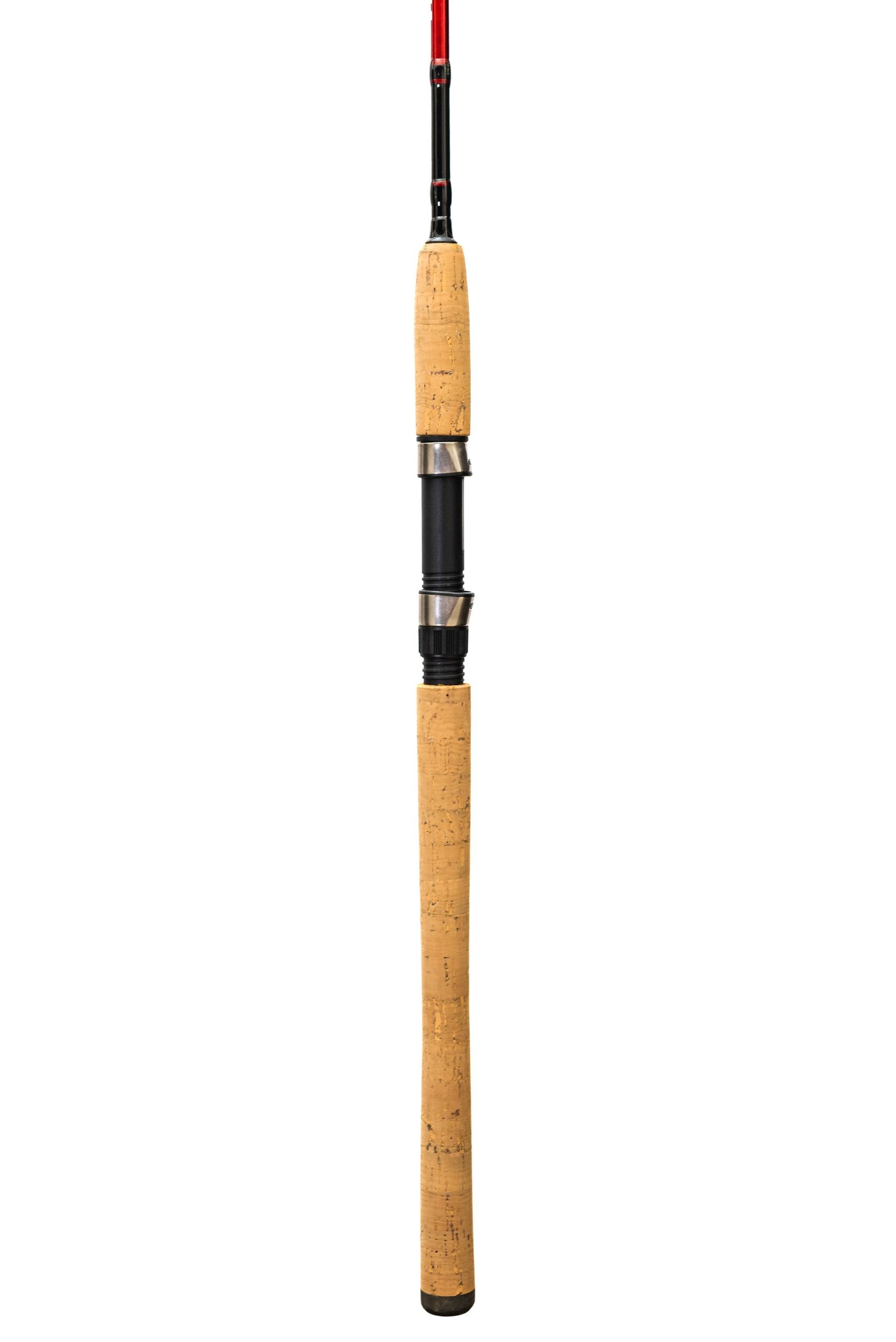 https://elsenuelo.cl/web/wp-content/uploads/2023/05/TIN1957-scaled.jpg