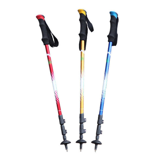 https://cdn.shopify.com/s/files/1/0270/9051/8064/products/baston_trekking_lux_7075.jpg?v=1576856428